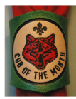 CUB OF THE MONTH GREEN EMBOSSED WOGGLE