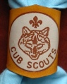 YELLOW BRANDED CUB WOGGLE