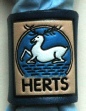 HERTFORDSHIRE EMBOSSED AND COLOURED WOGGLE