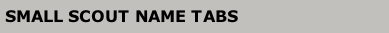 SMALL SCOUT NAME TABS