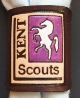 KENT COUNTY EMBOSSED AND COLOURED WOGGLE