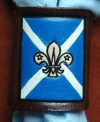 EMBOSSED ST ANDREW FLAG SCOUT WOGGLE