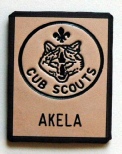 SMALL CUB SCOUT NAME TAB